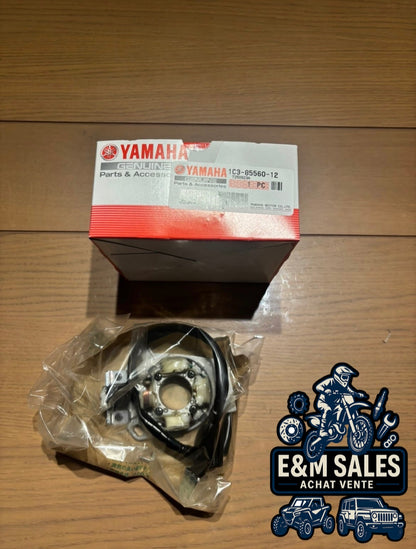 Stator d'allumage 125 YZ 2005-2021